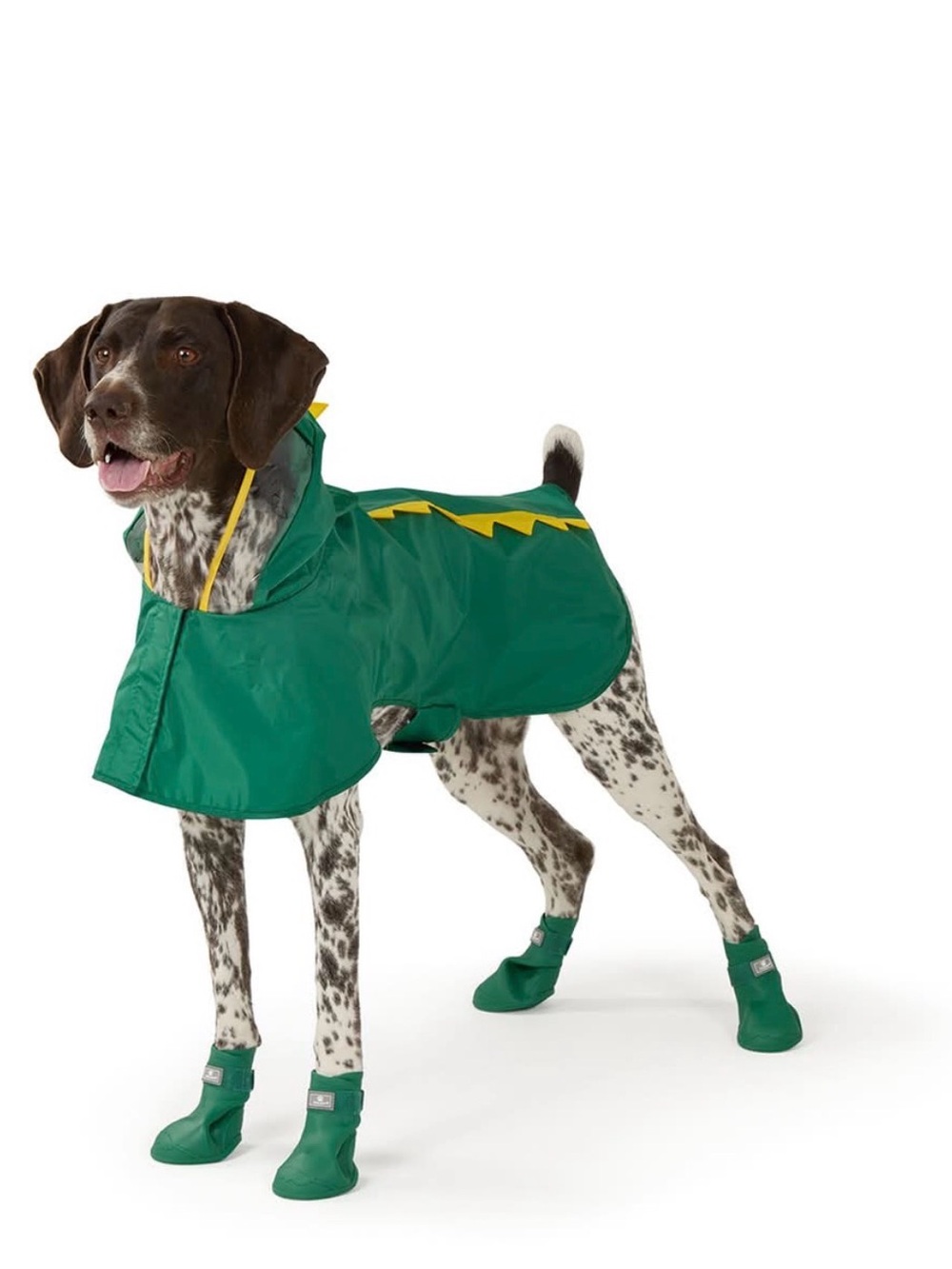 Top Paw Green Dog Booties with Drawstring Carry Bag